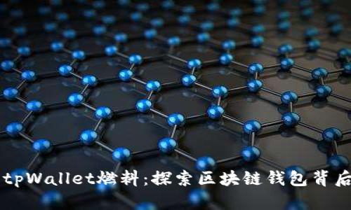 ### tpWallet燃料：探索区块链钱包背后的动力