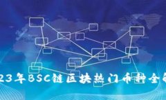 2023年BSC链区块热门币种全解析