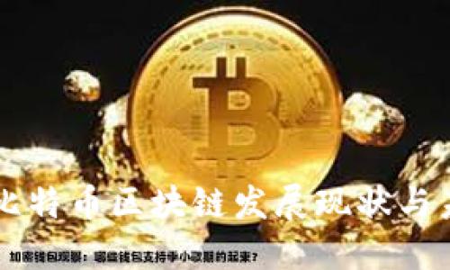 上海的比特币区块链发展现状与未来展望