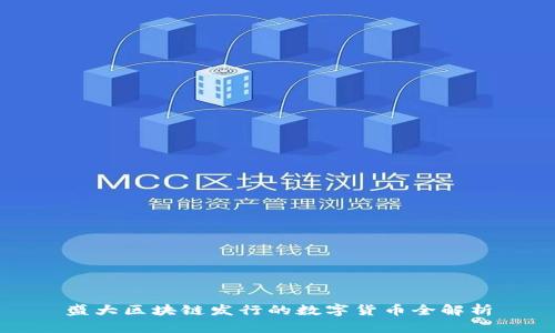 盛大区块链发行的数字货币全解析