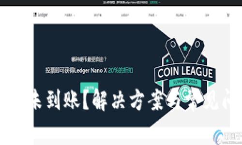 tpWallet未到账？解决方案与常见问题解析