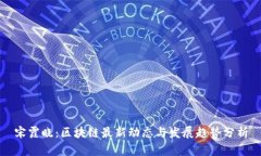 宋霞晓：区块链最新动态与发展趋势分析
