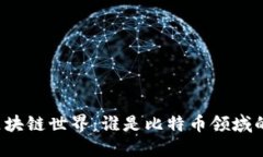 深入探讨区块链世界：谁是比特币领域的知名博