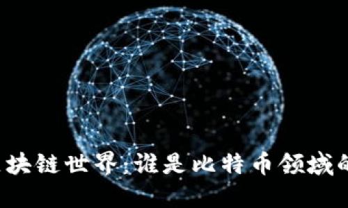 深入探讨区块链世界：谁是比特币领域的知名博主？