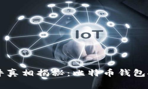 tpWallet被盗事件真相揭秘：比特币钱包安全性的深度分析