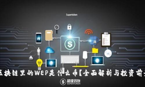 区块链里的WEP是什么币？全面解析与投资前景
