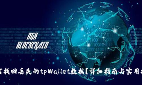 如何找回丢失的tpWallet数据？详细指南与实用技巧
