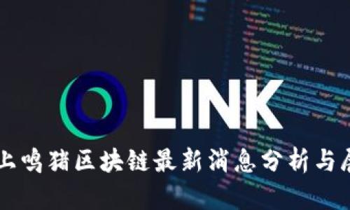 掌上鸣猪区块链最新消息分析与展望