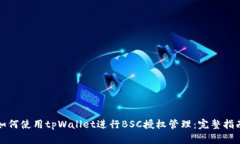 如何使用tpWallet进行BSC授权管理：完整指南