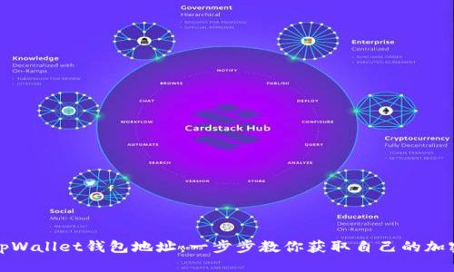 如何查看tpWallet钱包地址：一步步教你获取自己的加密资产地址