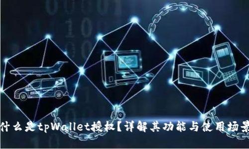 什么是tpWallet授权？详解其功能与使用场景