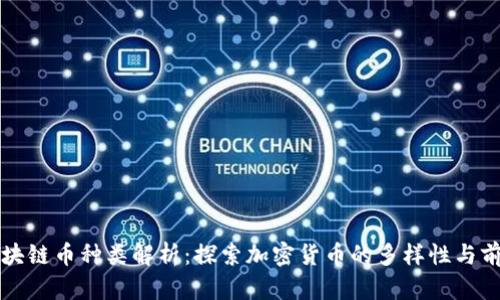 区块链币种类解析：探索加密货币的多样性与前景