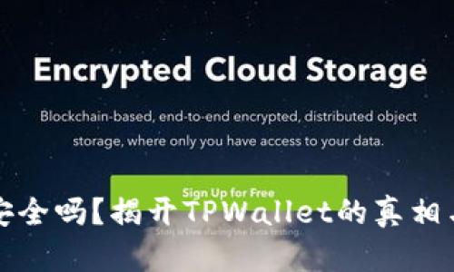 TPWallet安全吗？揭开TPWallet的真相与假冒风险