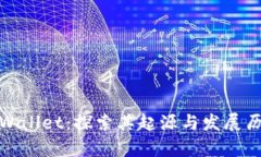 tpWallet：探索其起源与发展历程