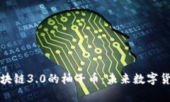 深度解析区块链3.0的柚子币：未来数字货币的推