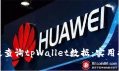 : 如何高效查询tpWallet数据：实用指南和技巧