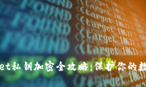 tpWallet私钥加密全攻略：保护你的数字资产
