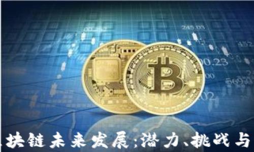 
比特币区块链未来发展：潜力、挑战与前景分析