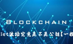 tpWallet波场究竟是不是公链？一探究竟！