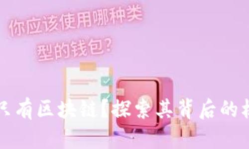 为什么比特币只有区块链？探索其背后的核心技术与意义