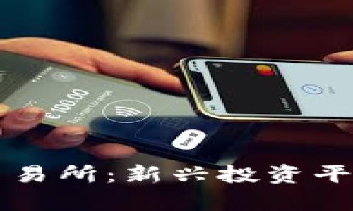 区块链福币交易所：新兴投资平台的全景解析