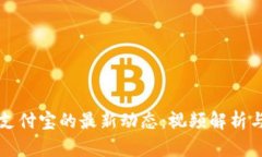 区块链与支付宝的最新动态：视频解析与应用前