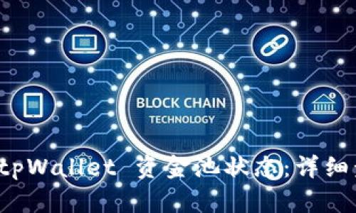 如何查看 tpWallet 资金池状态：详细步骤与解析