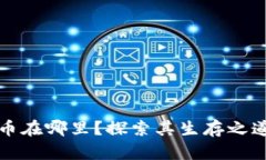 区块链虚拟币在哪里？探索其生存之道与未来趋