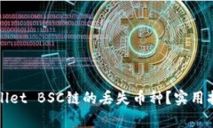 如何找回tpWallet BSC链的丢失币种？实用指南与注