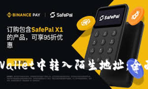 如何安全地在tpWallet中转入陌生地址：全面解析与操作指南