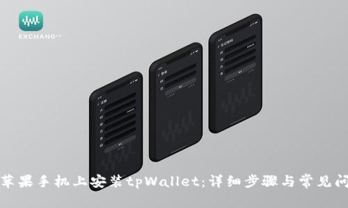 如何在苹果手机上安装tpWallet：详细步骤与常见问题解答