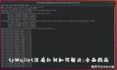 tpWallet没有私钥如何解决：全面指南