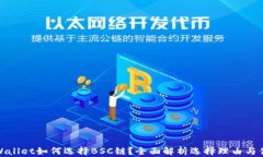 tpWallet如何选择BSC链？全面解析选择理由与优势