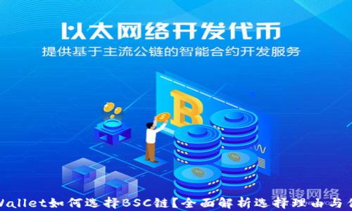 
tpWallet如何选择BSC链？全面解析选择理由与优势
