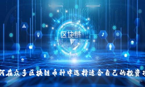 如何在众多区块链币种中选择适合自己的投资项目