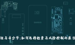 区块链与币少爷：如何选择投资与风险控制的最