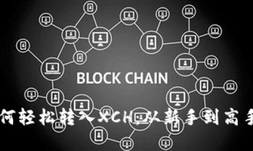 tpWallet如何轻松转入XCH：从新手到高手的操作指南