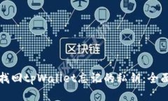 如何找回tpWallet忘记的私钥：全面指南