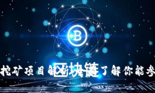 tpWallet上的挖矿项目解析：全面了解你能参与的挖矿机会