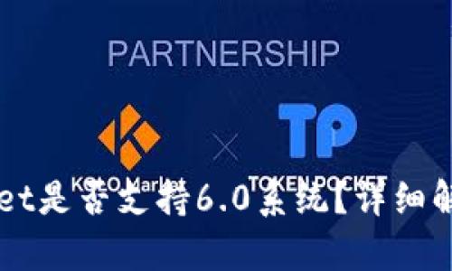 ### tpWallet是否支持6.0系统？详细解读与用户指南