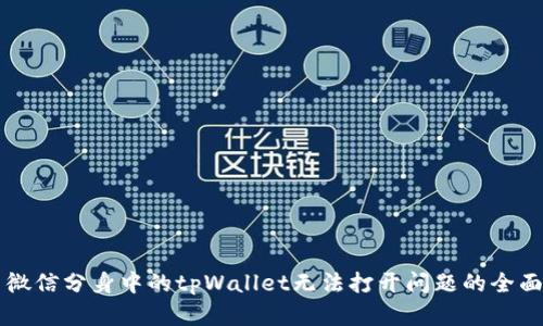 解决微信分身中的tpWallet无法打开问题的全面指南