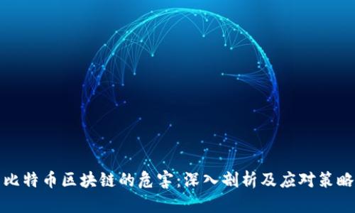 比特币区块链的危害：深入剖析及应对策略