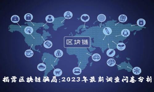 揭露区块链骗局：2023年最新调查问卷分析