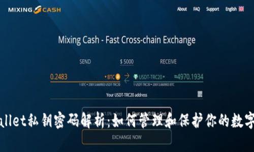 tpWallet私钥密码解析：如何管理和保护你的数字资产