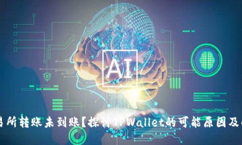 币安交易所转账未到账？探讨TPWallet的可能原因及解决方案