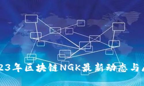 2023年区块链NGK最新动态与展望