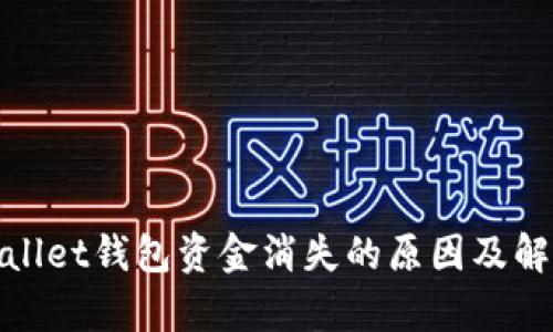 : tpWallet钱包资金消失的原因及解决方案
