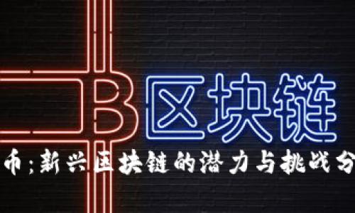 派币：新兴区块链的潜力与挑战分析